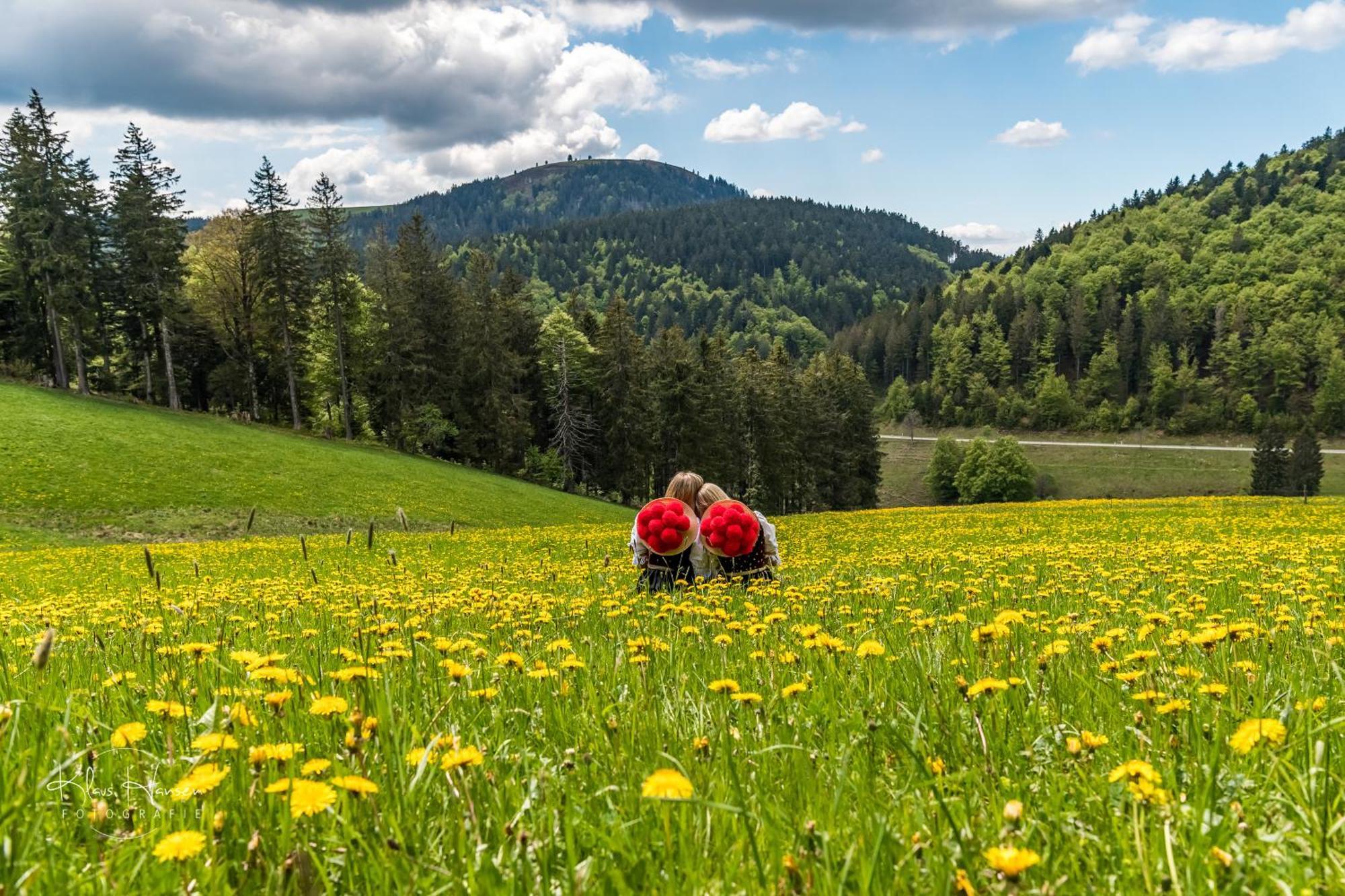 Schwarzwaldhaus Sonnenstrasse, Oberried-Hofsgrund, Dreisamtal Villa Oberried  Ngoại thất bức ảnh