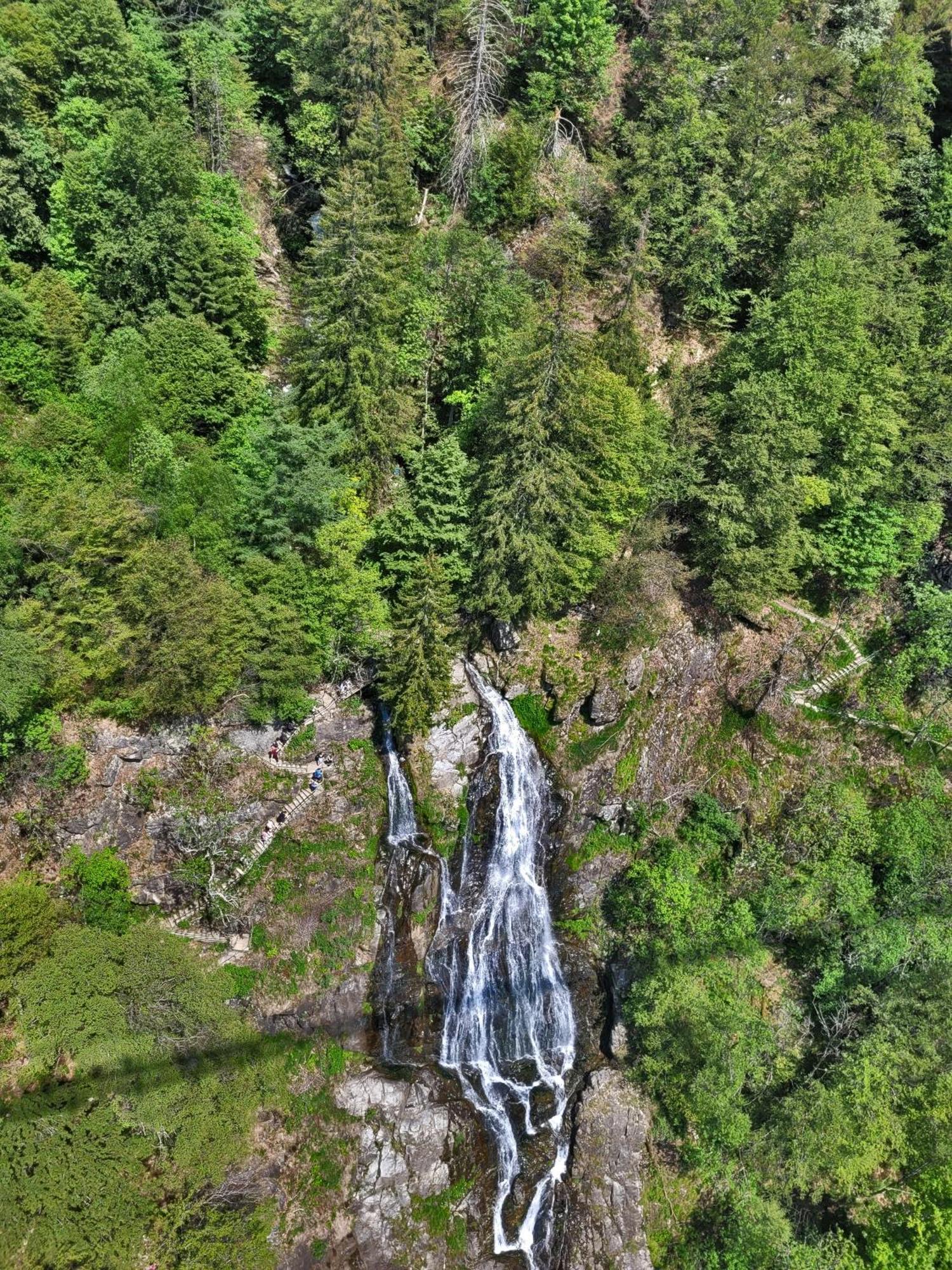 Schwarzwaldhaus Sonnenstrasse, Oberried-Hofsgrund, Dreisamtal Villa Oberried  Ngoại thất bức ảnh